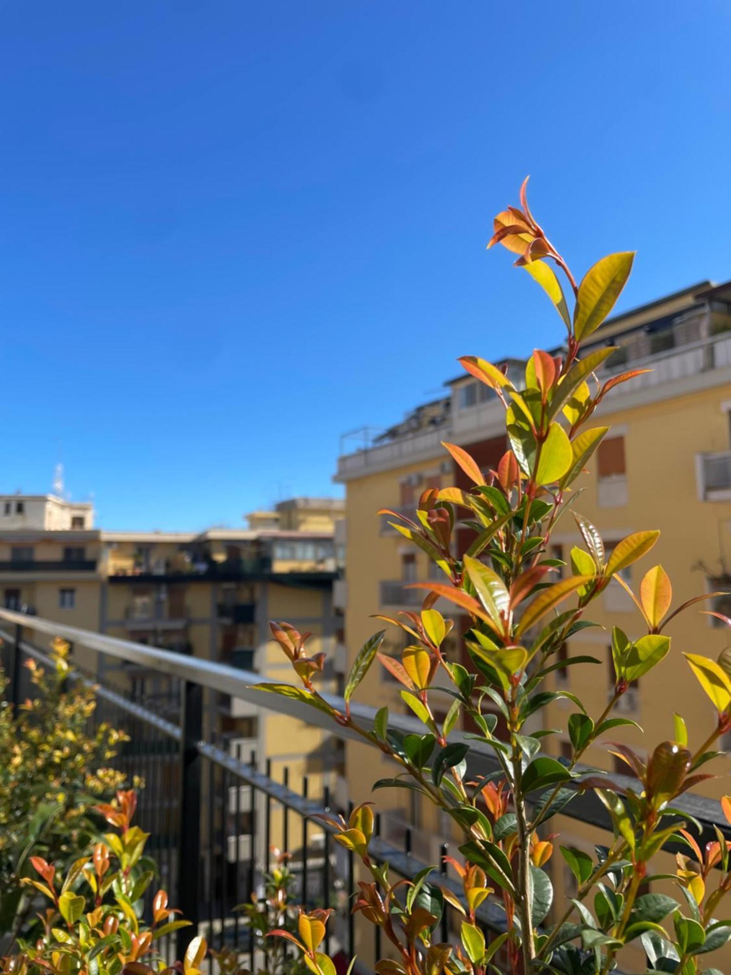 パレルモTerrazza L Emiro Casa Vacanzeアパートメント エクステリア 写真